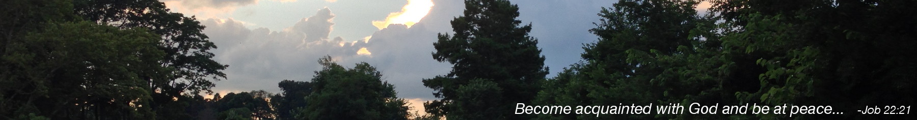 Janet Hegarty C.S.B.